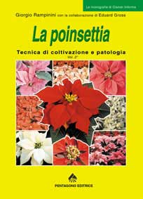 come coltivare la Poinsettia vol 2