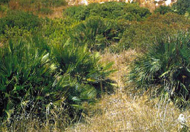 Immagine2.jpg