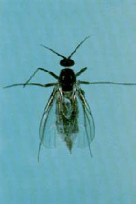 Immagine5.jpg