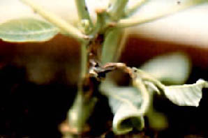 Immagine7.jpg