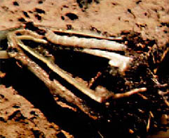 Immagine9.jpg