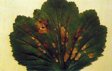 Immagine7.jpg